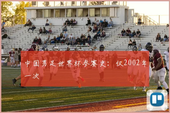 中国男足世界杯参赛史：仅2002年一次