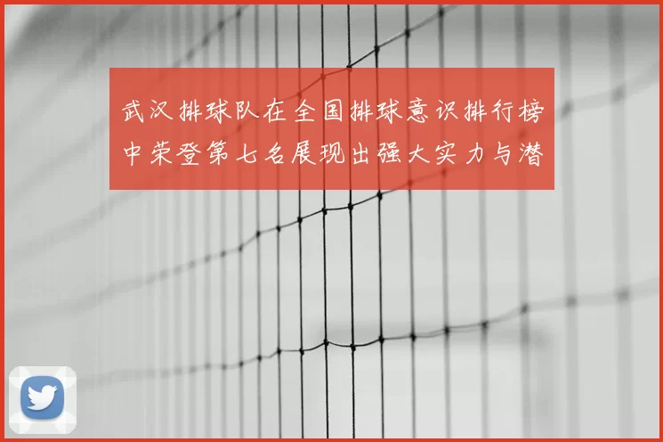 武汉排球队在全国排球意识排行榜中荣登第七名展现出强大实力与潜力