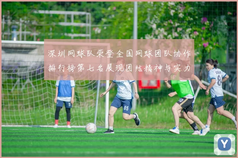 深圳网球队荣登全国网球团队协作排行榜第七名展现团结精神与实力
