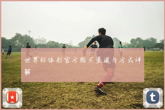 世界杯体彩官方购买渠道与方式详解