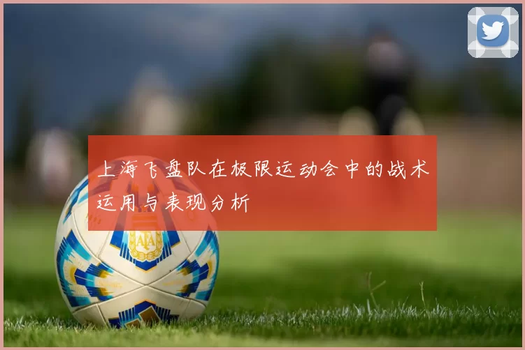 上海飞盘队在极限运动会中的战术运用与表现分析