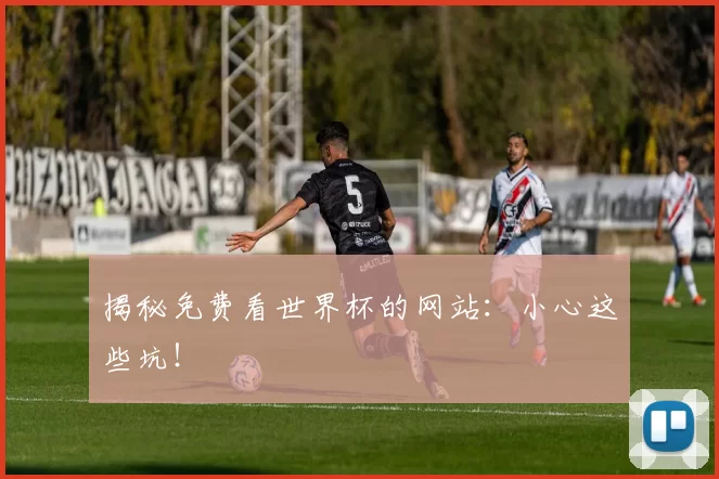 揭秘免费看世界杯的网站：小心这些坑！