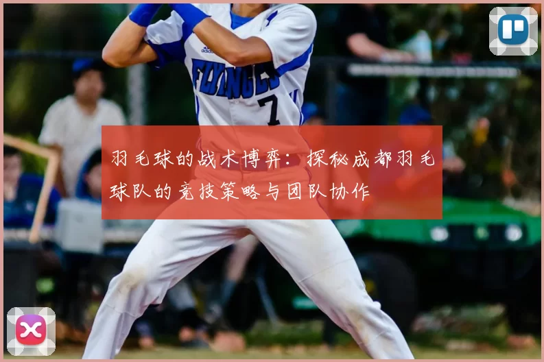 羽毛球的战术博弈：探秘成都羽毛球队的竞技策略与团队协作