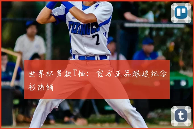 世界杯男款T恤:官方正品球迷纪念衫热销