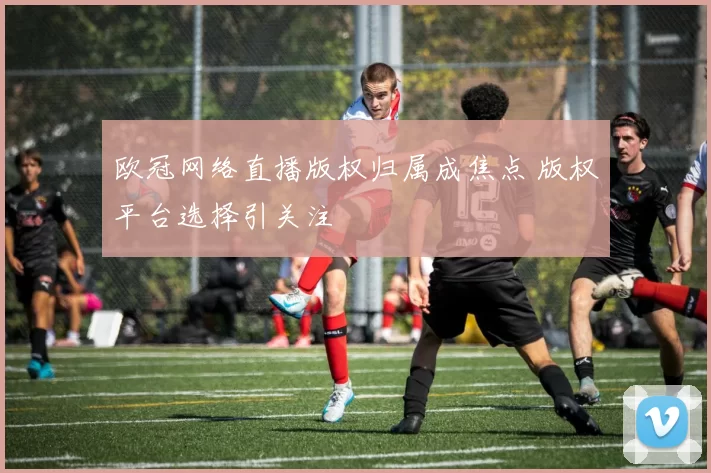 欧冠网络直播版权归属成焦点 版权平台选择引关注