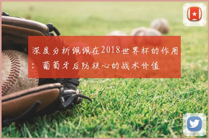 深度分析佩佩在2018世界杯的作用:葡萄牙后防核心的战术价值