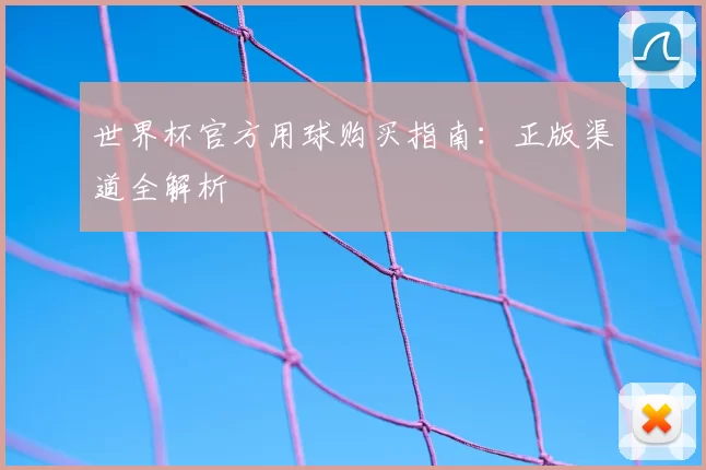 世界杯官方用球购买指南：正版渠道全解析