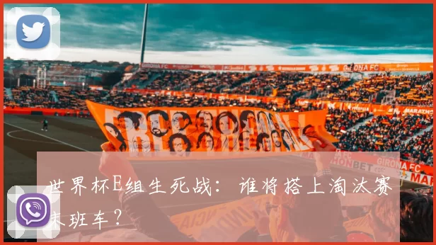 世界杯E组生死战：谁将搭上淘汰赛末班车？