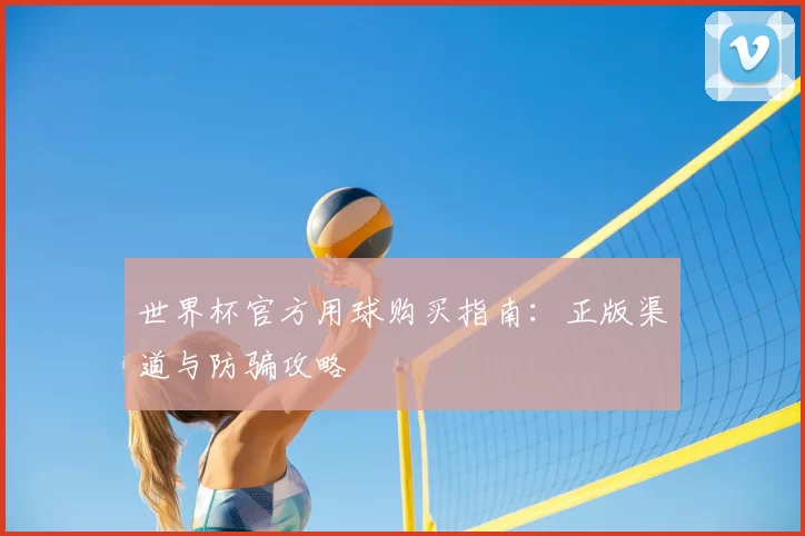 世界杯官方用球购买指南：正版渠道与防骗攻略