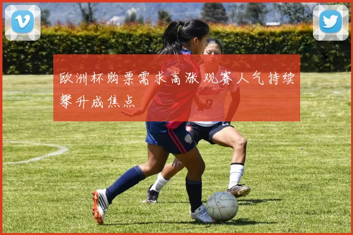 欧洲杯购票需求高涨 观赛人气持续攀升成焦点