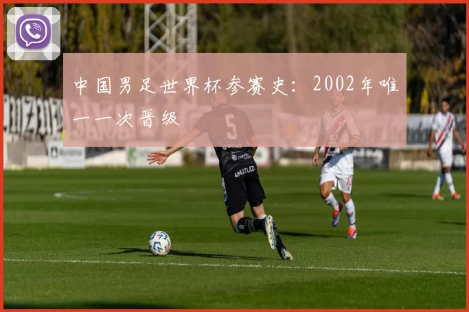 中国男足世界杯参赛史:2002年唯一一次晋级
