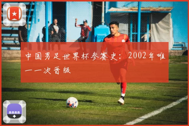 中国男足世界杯参赛史：2002年唯一一次晋级