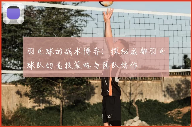 羽毛球的战术博弈:探秘成都羽毛球队的竞技策略与团队协作